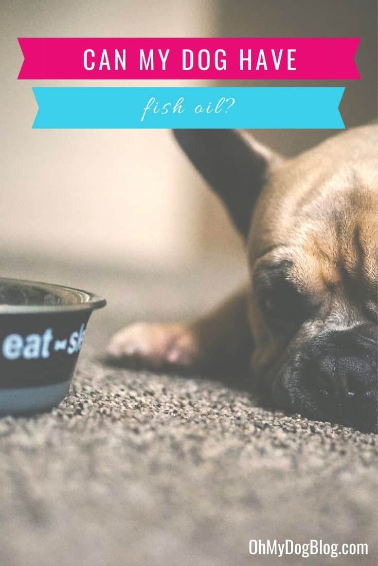 Can dogs have fish oil? Is it safe to add it to your pup's food? Here's everything you need to know about dogs and fish oil!