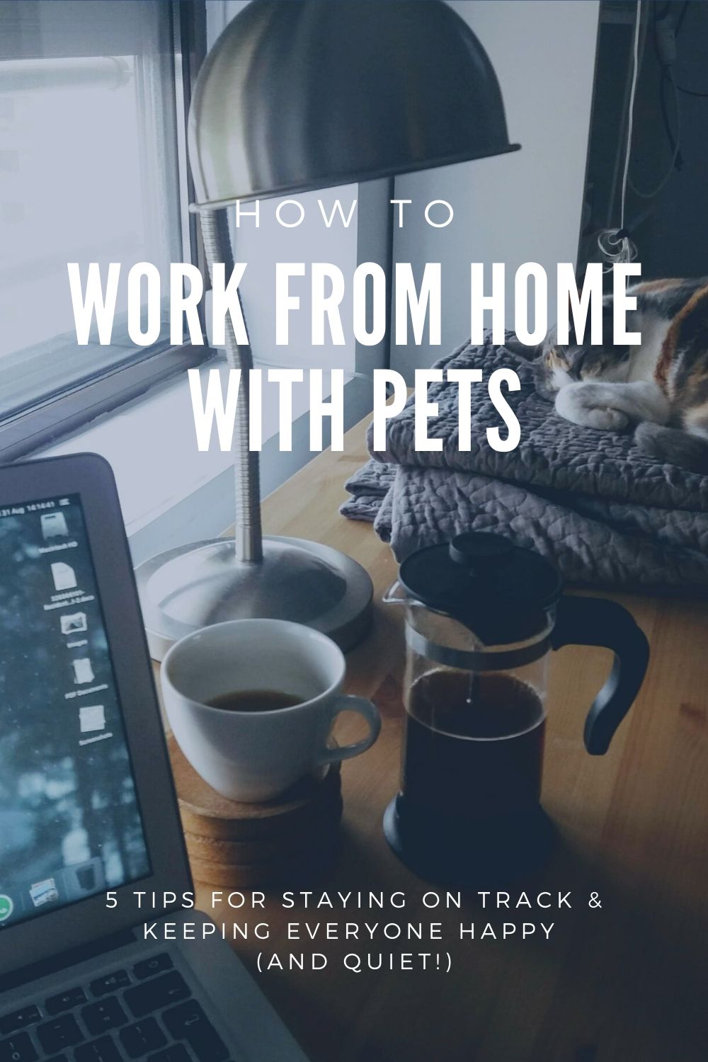 How to work from home with pets
