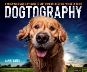 The cover of Dogtography shows a golden dog smiling into the camera against a bright blue sky